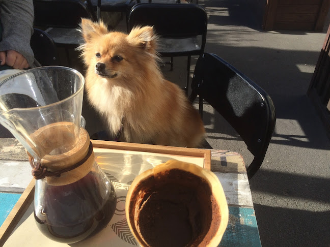 Comentarii opinii despre C1 Espresso