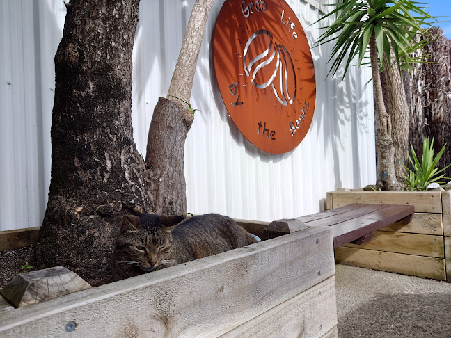 Naughty Bean Coffee - Hospitality and gastronomy