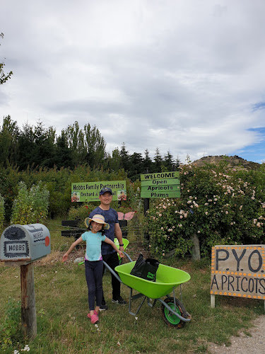 Hobbs Family Partnership Orchard and Fruit Stall Phone number