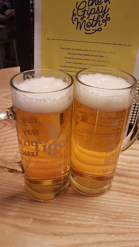 Comentarii opinii despre The Gipsy Moth