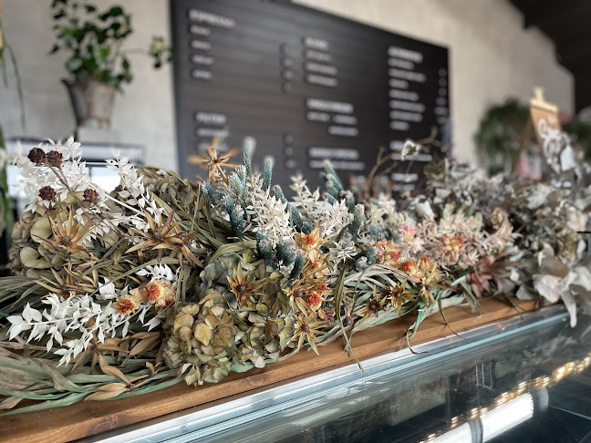 VIBE Coffee Roasters