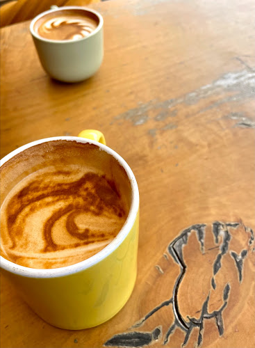 Raglan Roast Gizzy - Gisborne