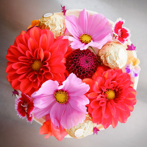 Sunny Cakes - Hospitality and gastronomy