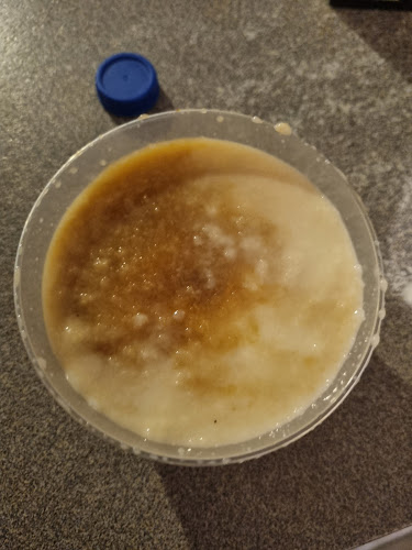 Comentarii opinii despre Milanos Halal Pizza Hamilton