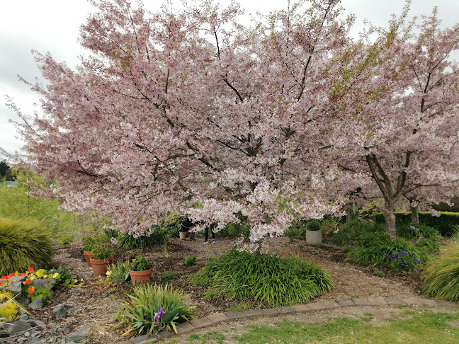 Comments and reviews of The Corner Stone Cafe