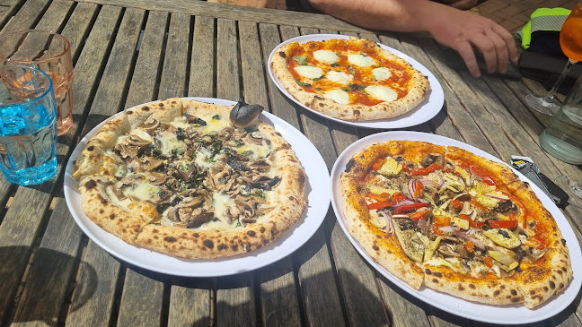 Mediterranean Foods Trattoria & Deli - Hospitality and gastronomy