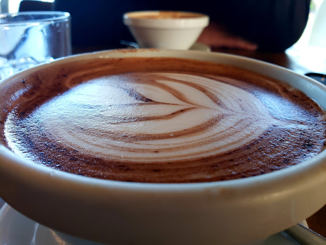 Comentarii opinii despre Urban Jungle Cafe