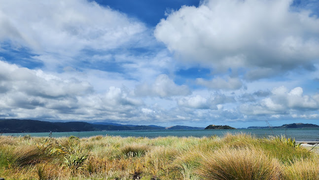 The Flying Bean Coffee Shop - Hospitality and gastronomy