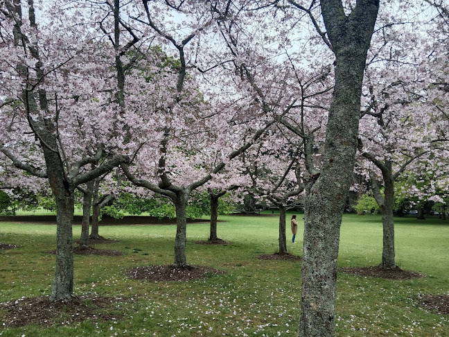 Cornwall Park Cafe - Auckland