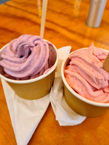 Reviews of Lot 19 Real Fruit Ice Cream in Auckland - Hospitality and gastronomy