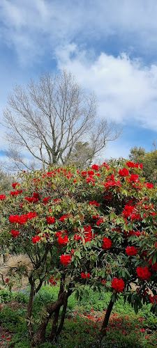 2 Nobs Line, Strandon, New Plymouth 4312, New Zealand