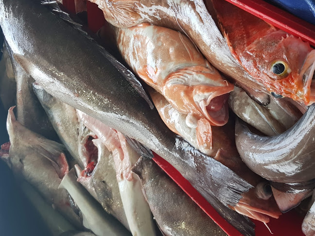 Comentarii opinii despre Wellington Seamarket