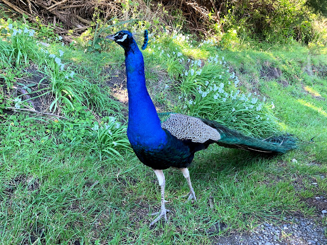 Opinii despre Archway Café în Richmond - Hospitality and gastronomy