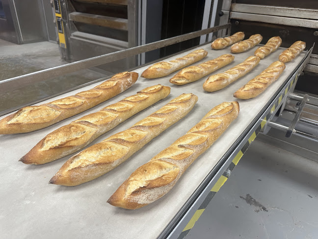 Shelly Bay Baker - Hospitality and gastronomy