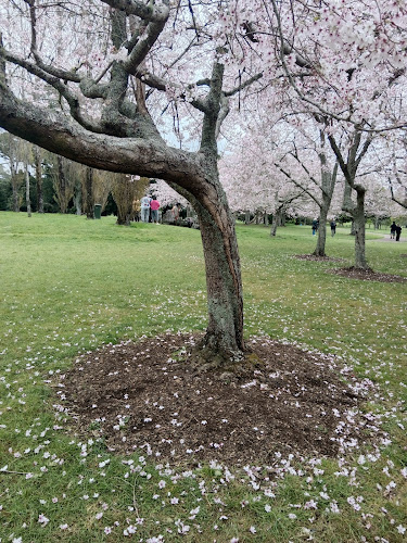 Cornwall Park Cafe - Hospitality and gastronomy