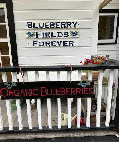 Blueberry Fields Forever (PYO)