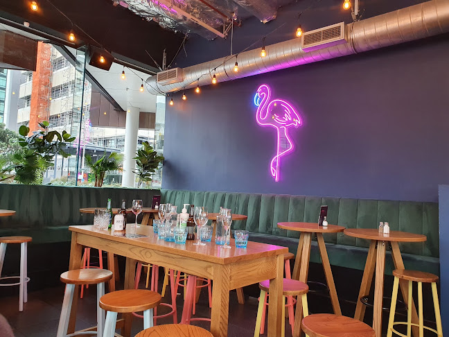 Flamingo Joe's Bar & Eatery - Hospitality and gastronomy