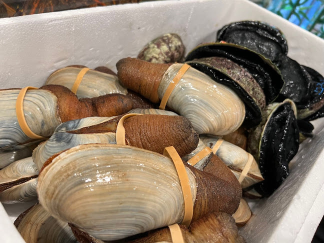 Comentarii opinii despre Fresh Bite