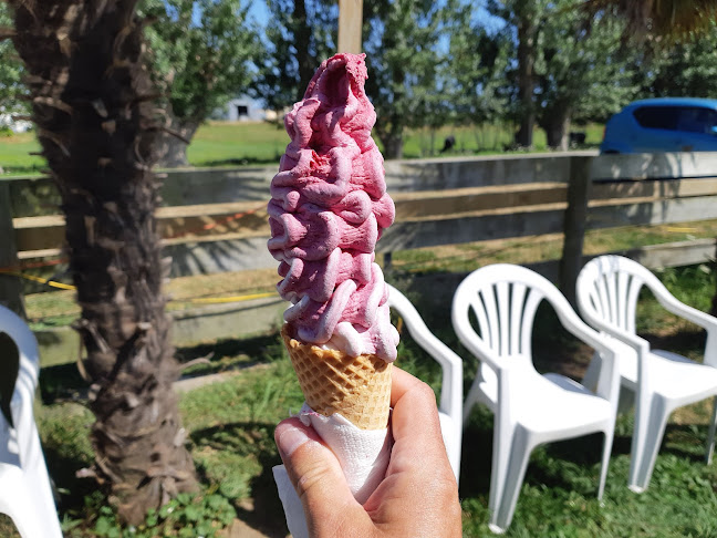 Bell Road Berries - Hospitality and gastronomy