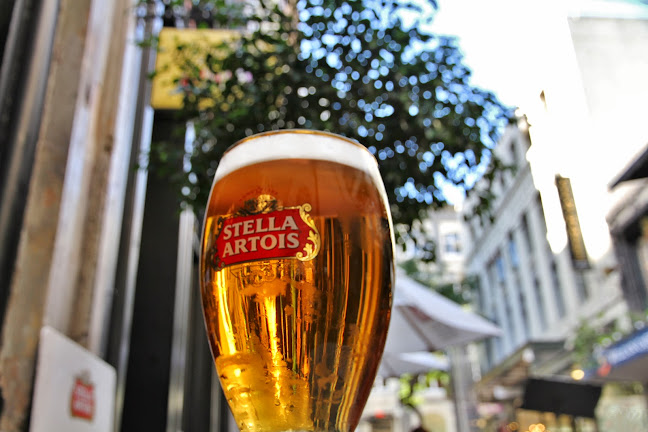 The Occidental Open Times