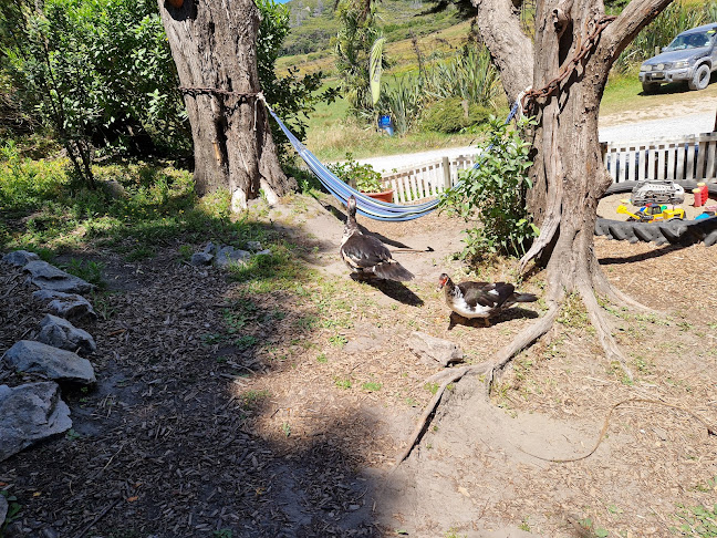 195/471 Wharariki Road, Pūponga 7073, New Zealand