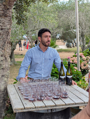 Reviews of Stonyridge Vineyard in Waiheke Island - Hospitality and gastronomy