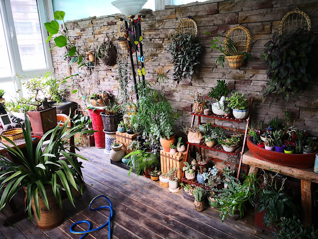 Silver Dolphin Fish n Chips@ Parklands - Hospitality and gastronomy