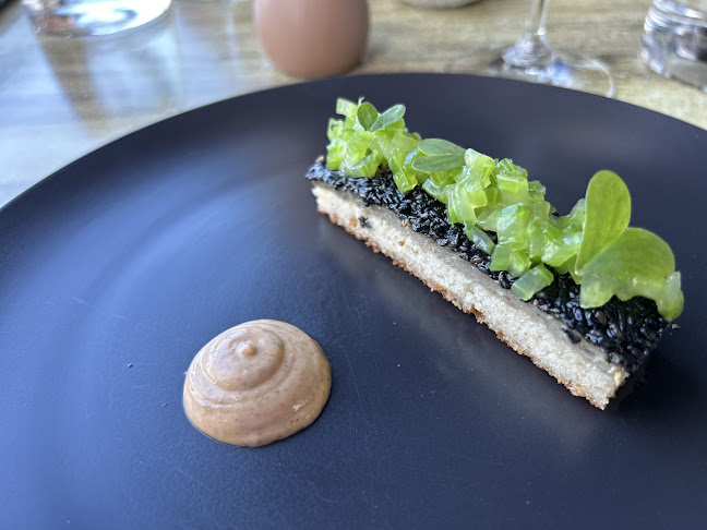 Terra Restaurant - Hospitality and gastronomy