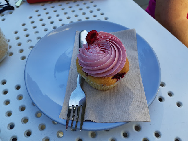 Comentarii opinii despre Spongedrop