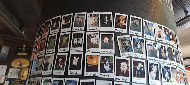 Reviews of Moon Under Water in Christchurch - Hospitality and gastronomy