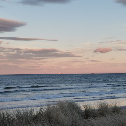 Comentarii opinii despre Island View Fish N Chips