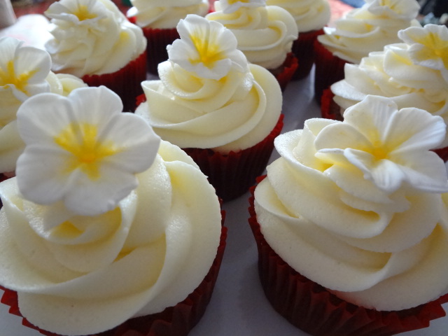 Cake & Bake Kiwi Open Times