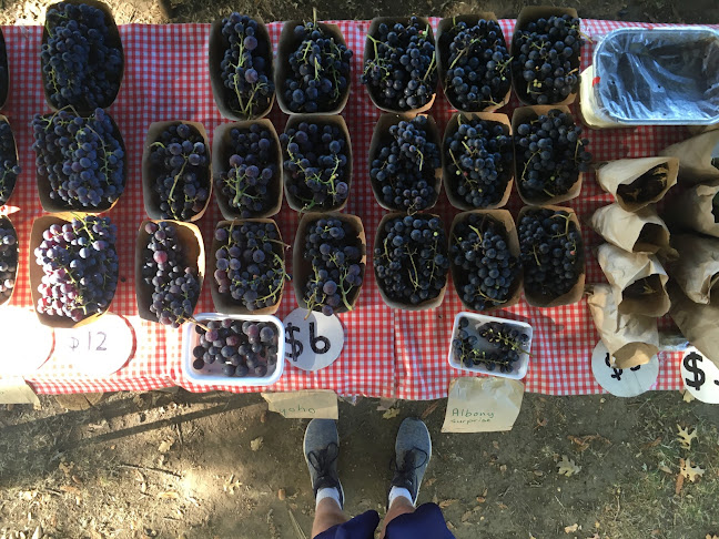 67 Queen Street, Leamington, Cambridge 3434, New Zealand