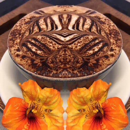 Driftwood Cafe Phone number