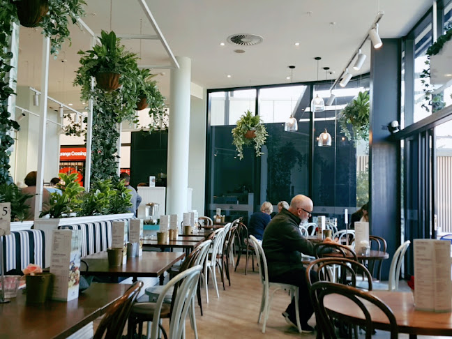 Majestic Cafe - Tauranga Crossing - Tauranga