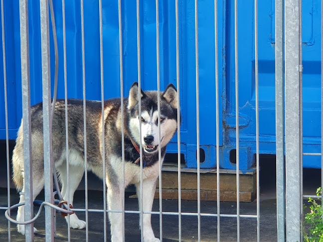 Olivers - Hospitality and gastronomy