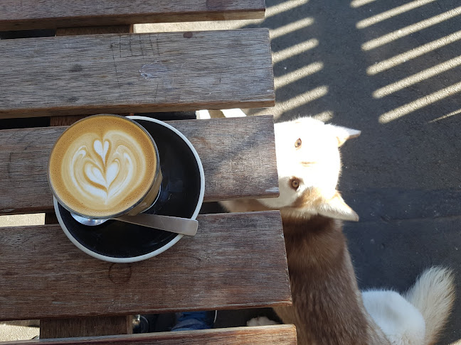 Reviews of Peoples Coffee Constable Street in Wellington - Hospitality and gastronomy