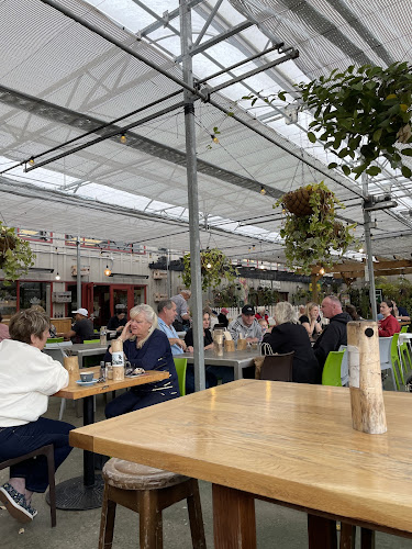 Kings Garden Cafe Henderson - Auckland