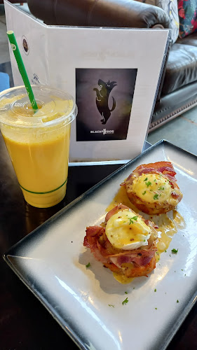 Opinii despre The Black Dog Kitchen & Bar în Dunedin - Hospitality and gastronomy