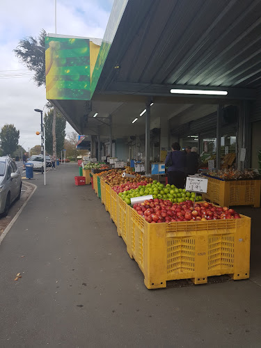 Vege King - Hospitality and gastronomy