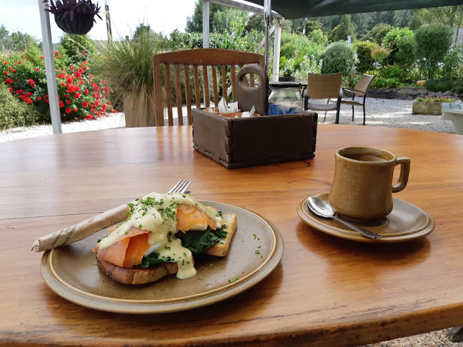 Native Tree Cafe - Hospitality and gastronomy