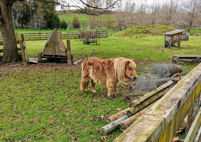 Murrayfield Cafe - Levin