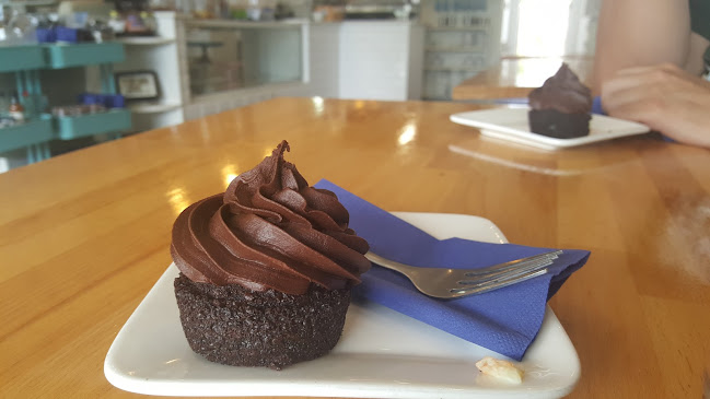 Blue Rose. Open Times