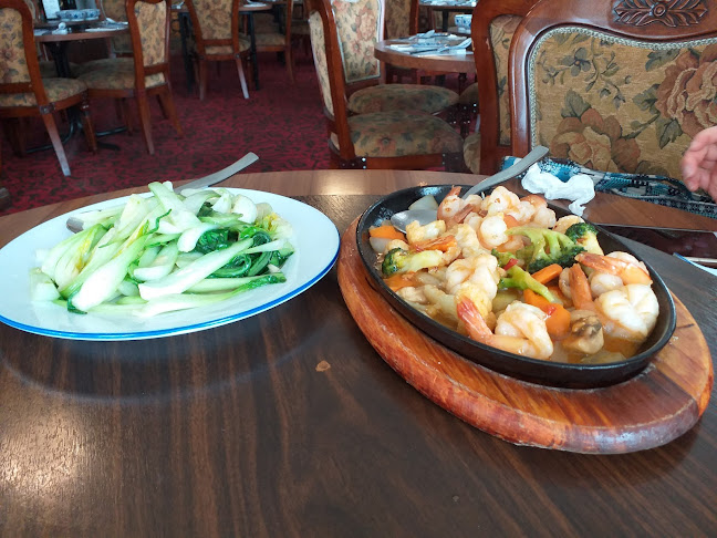 Comentarii opinii despre Ocean Seafood Chinese Restaurant