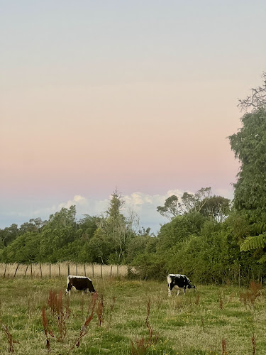 Comentarii opinii despre Volcanoview Café, Restaurant & Accommodation