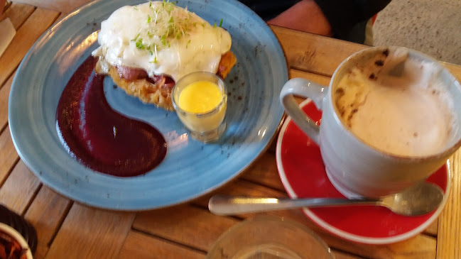 Cafe Hibiscus - Hospitality and gastronomy