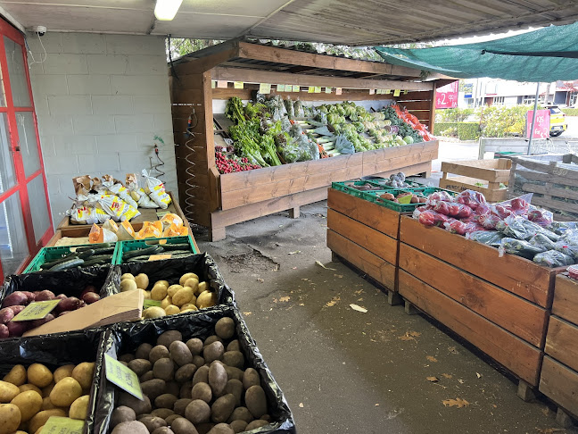 Comentarii opinii despre Crisp Grovelea