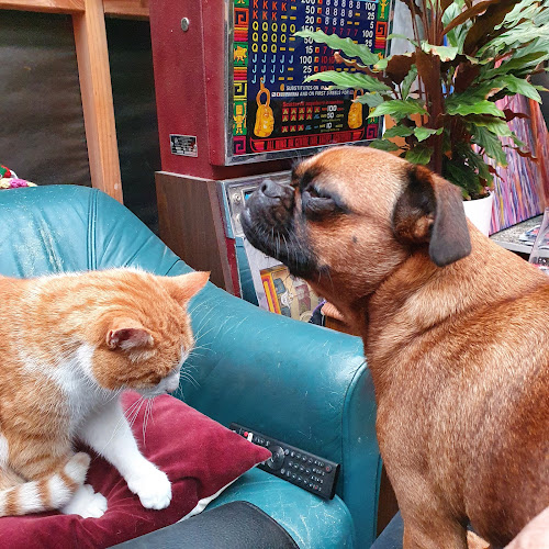 Nice Bakery, Massey - Hospitality and gastronomy