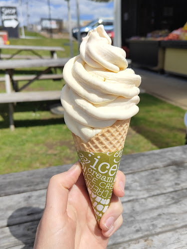 Cream Ice Cream - Hospitality and gastronomy