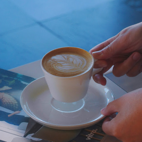 Bloc Cafe - Hospitality and gastronomy